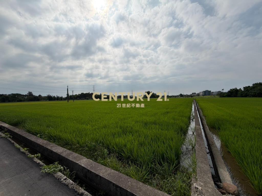 專任新屋低總價農保地-1