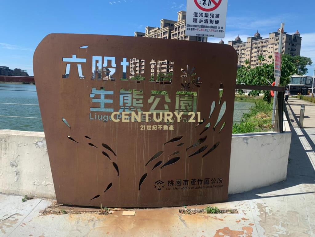 蘆竹六股埤公園大地坪邊間百坪電梯豪墅
