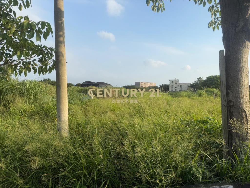 菓林計劃區內近G15水尾捷運站都計內農地