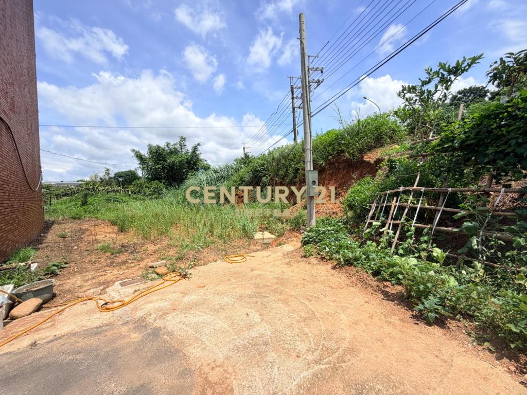 楊梅民富路旁 稀有大面寬建地