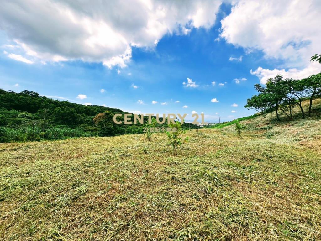 陽光山林旁A13漂亮農地