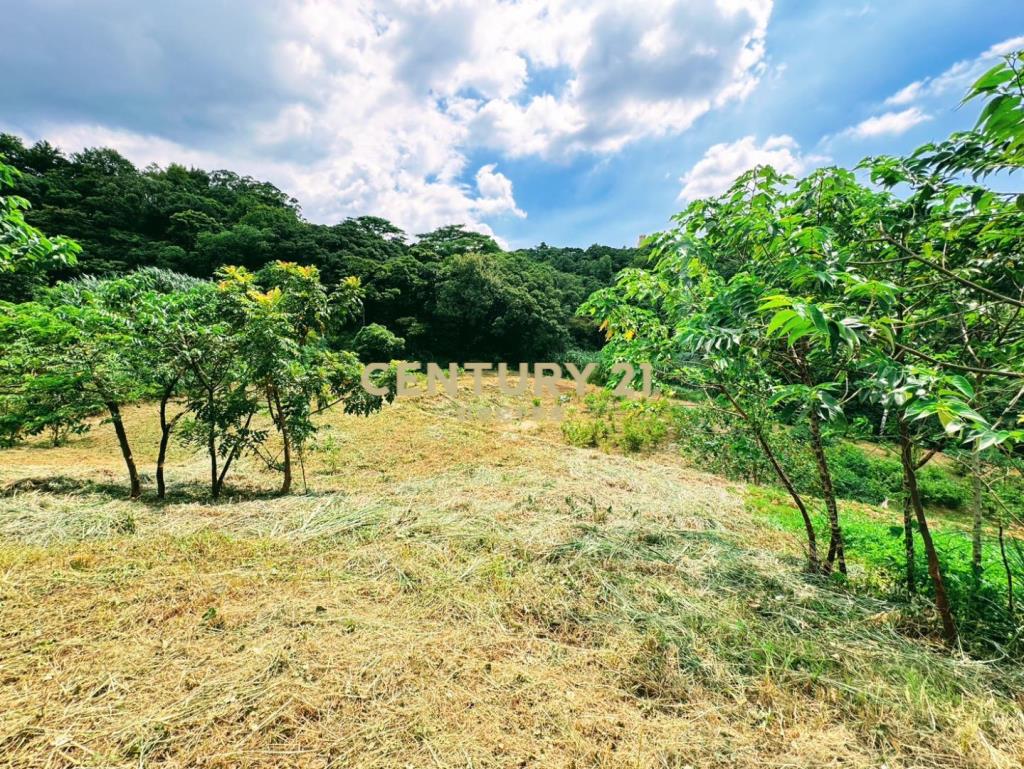 陽光山林旁A13漂亮農地