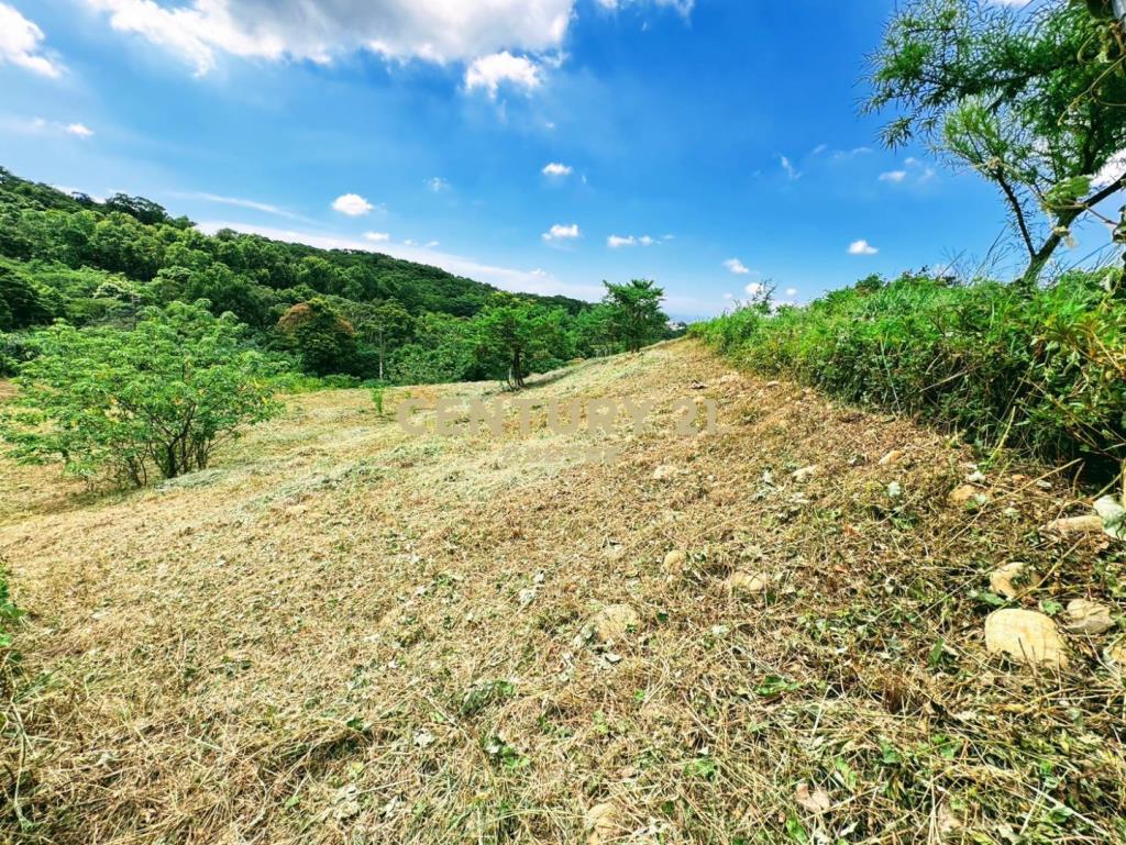 陽光山林旁A13漂亮農地