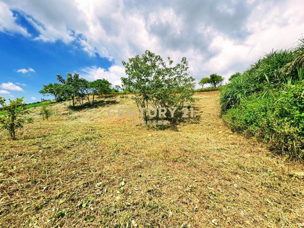 陽光山林旁A13漂亮農地