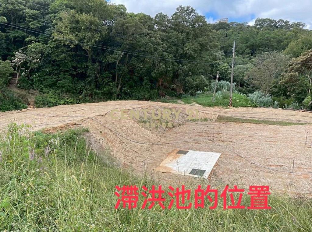 陽光山林旁A13漂亮農地
