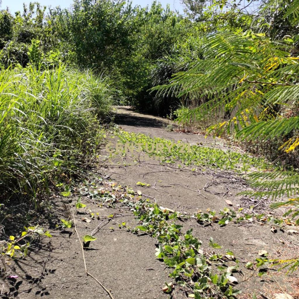 (專任委託)新竹峨眉湖畔景觀農地(1)