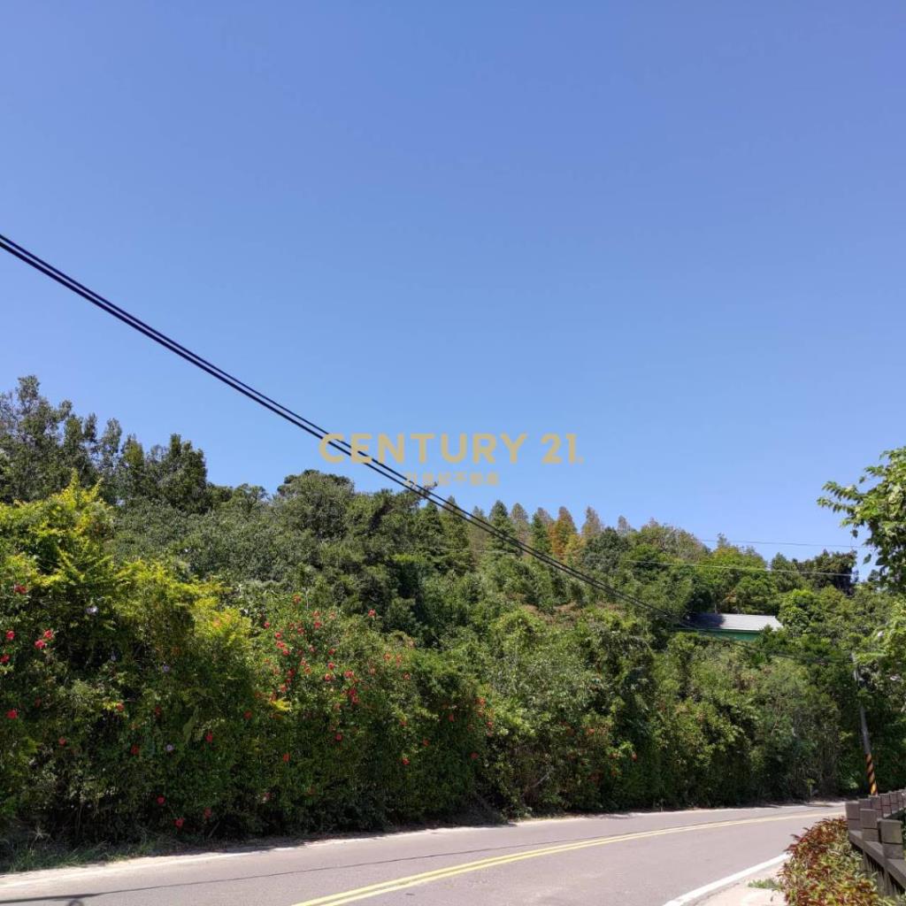 (專任委託)新竹峨眉湖畔景觀農地(1)