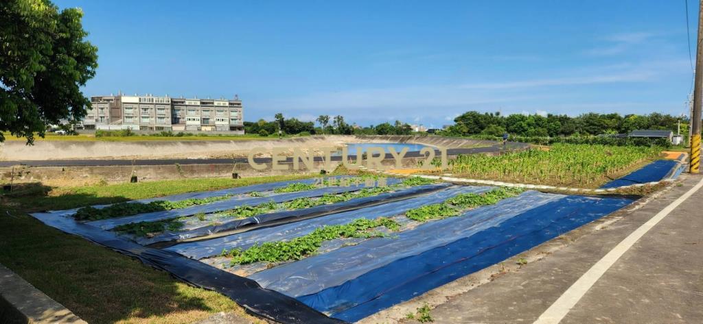 新竹縣新豐鄉崁頭段1818地號