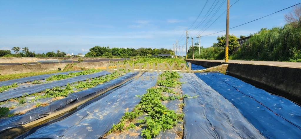 新竹縣新豐鄉崁頭段1818地號