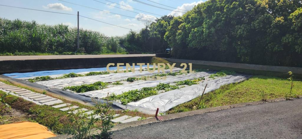 新竹縣新豐鄉崁頭段1818地號