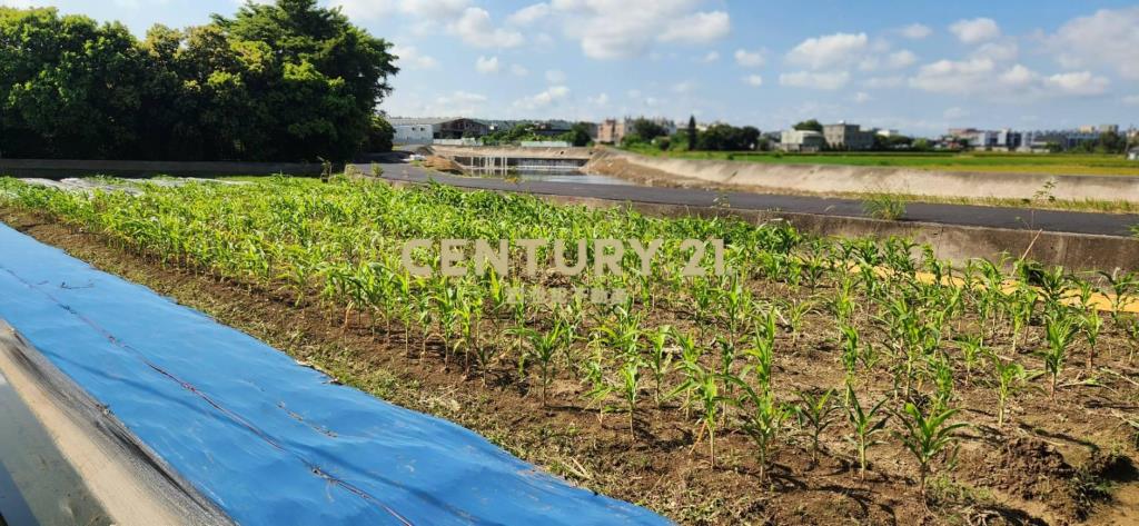 新竹縣新豐鄉崁頭段1818地號