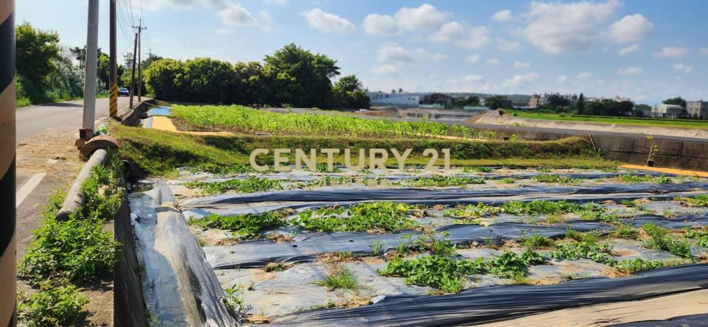 新竹縣新豐鄉崁頭段1818地號