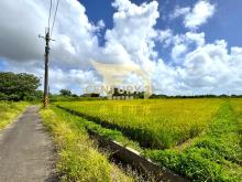 專任｜觀音忠愛段980坪方正美農地