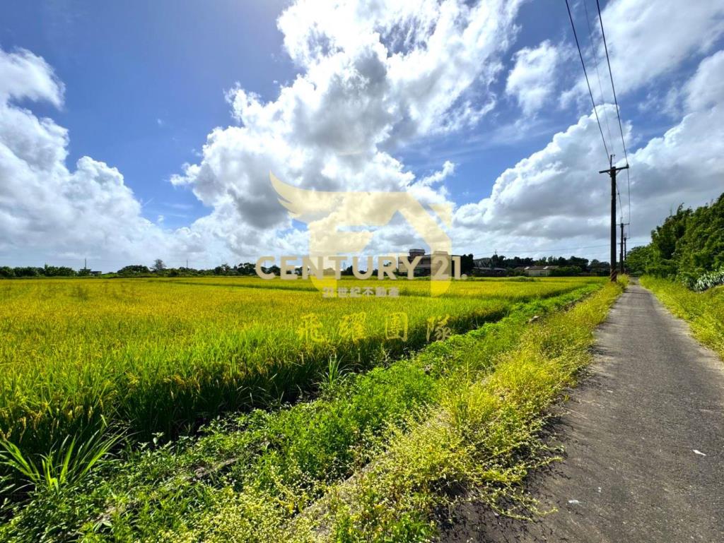 專任｜觀音忠愛段980坪方正美農地