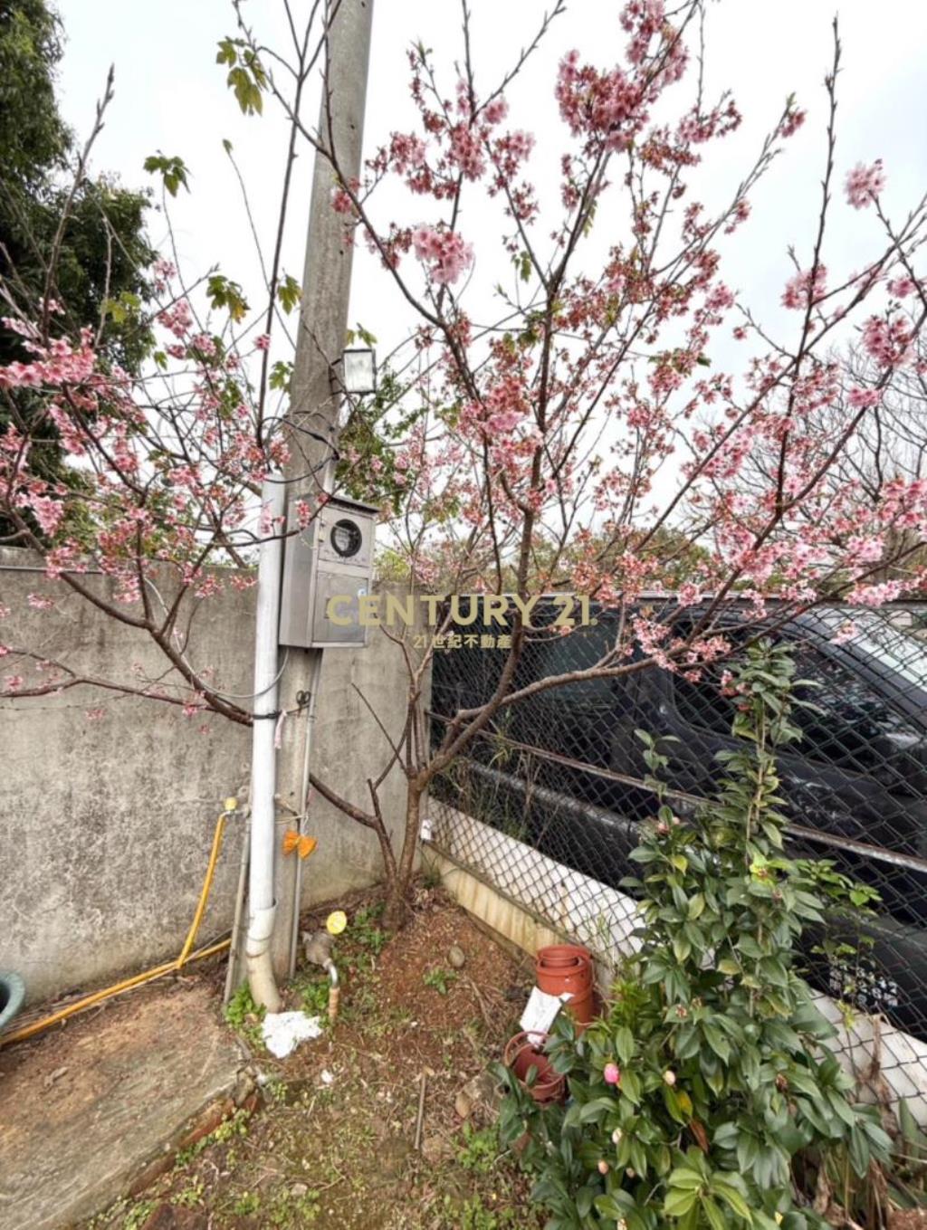 八德區崁頂路方正都內農地