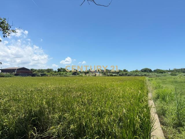 大園市府二期農地