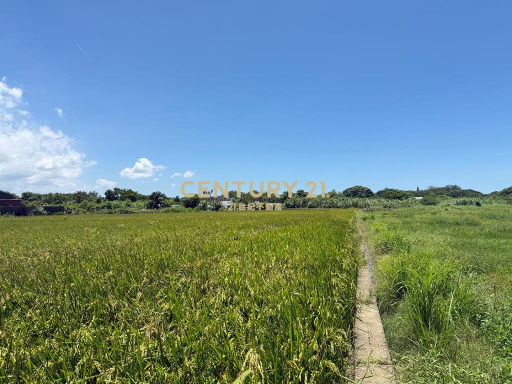 大園市府二期農地