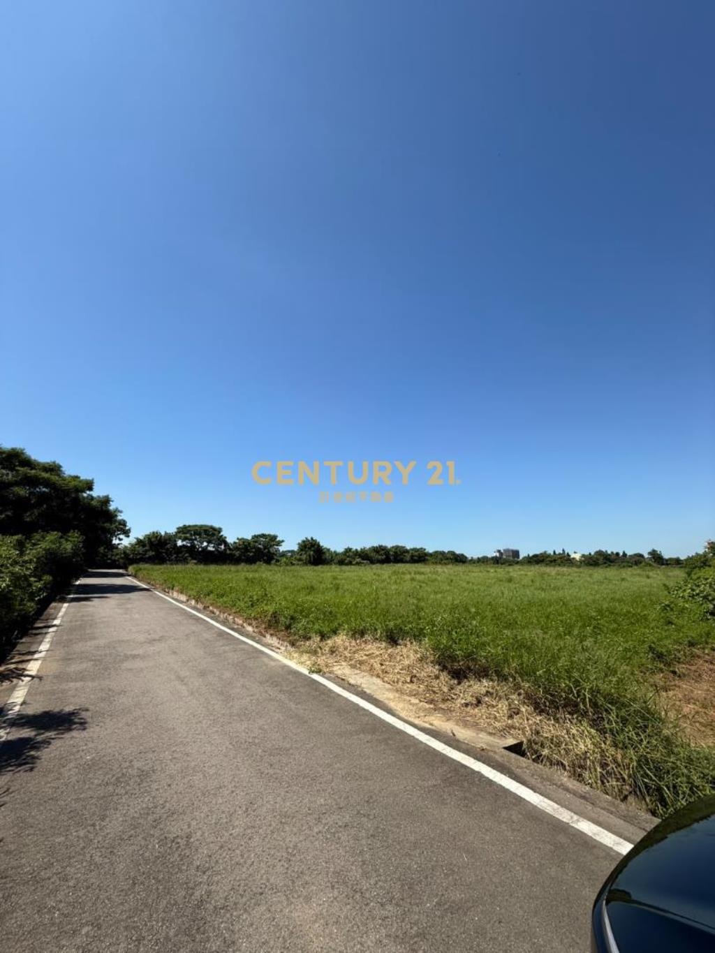 觀音上大便宜農地(三筆地號可分售)