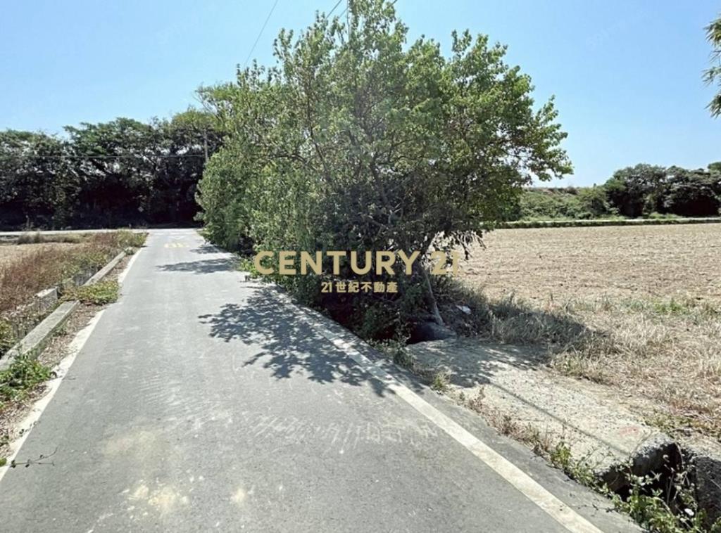 觀音大潭段近66雙面路美田
