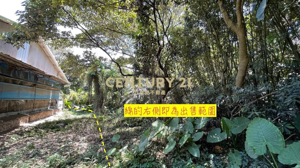 關西水母娘超值農地