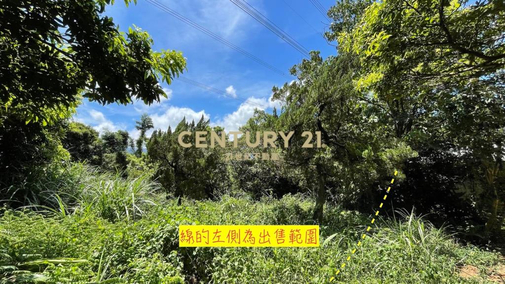 關西水母娘超值農地