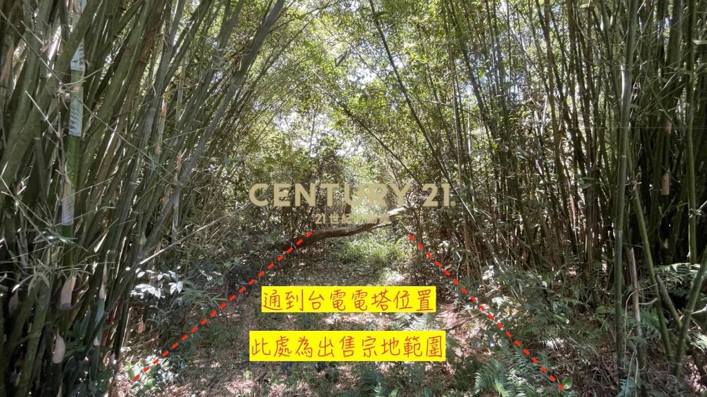 關西水母娘超值農地