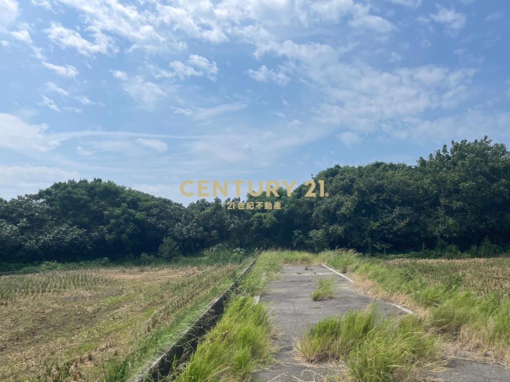 台61旁一般農906坪