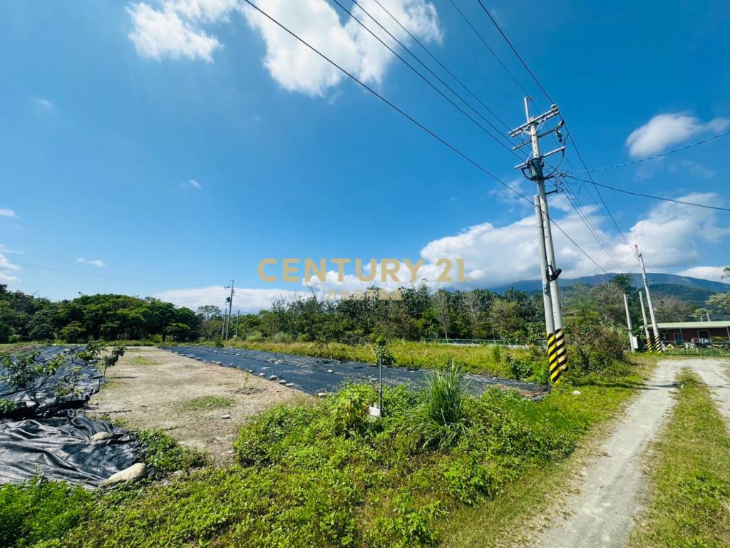 花蓮縣壽豐鄉小坪數木屋農地