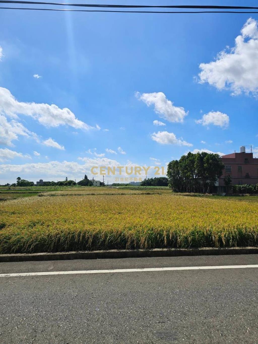 新屋新湖路8米路漂亮農地