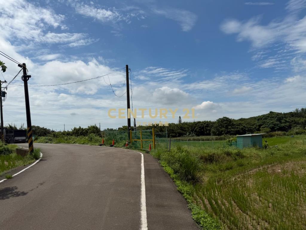 大園航空城旁農地