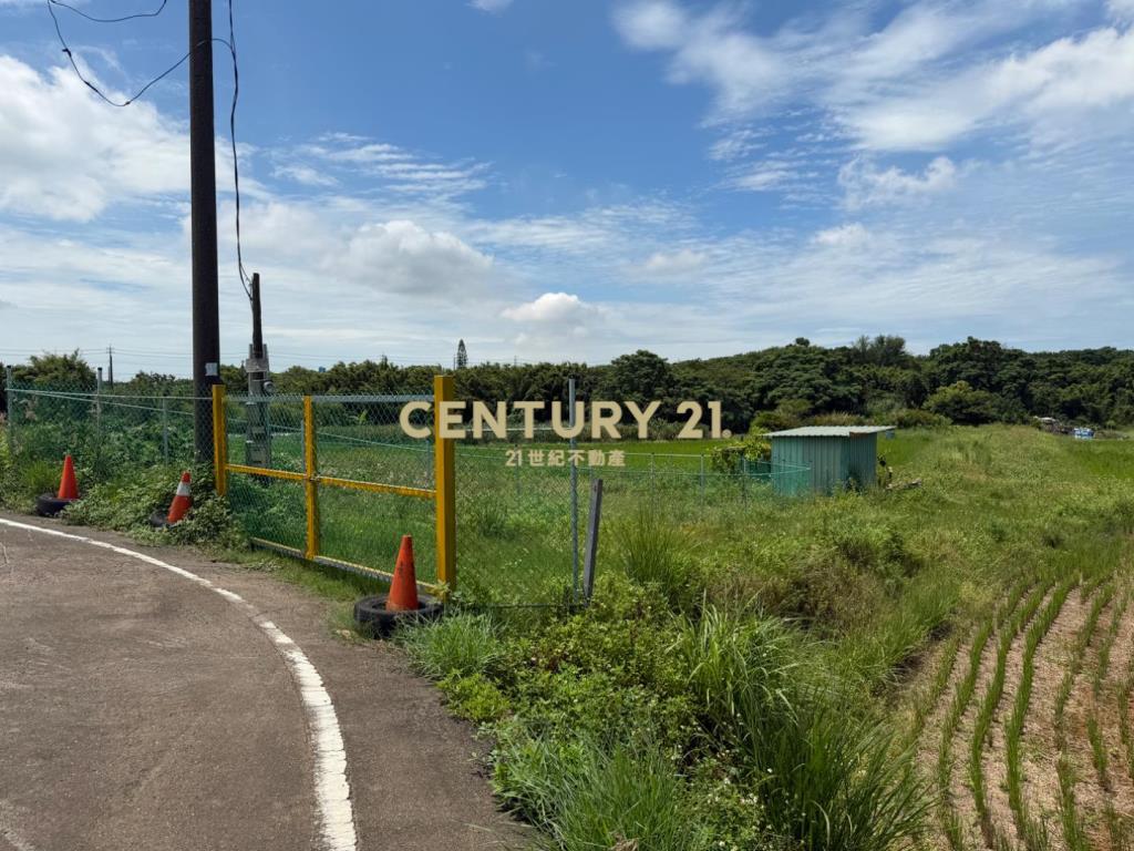 大園航空城旁農地