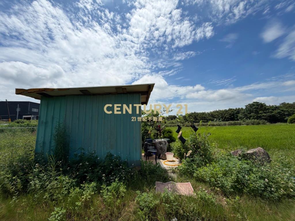 大園航空城旁農地