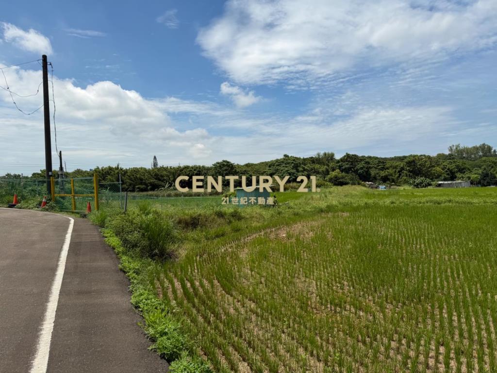 大園航空城旁農地
