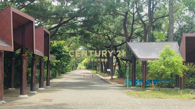 八德區大湳森林公園電梯華廈