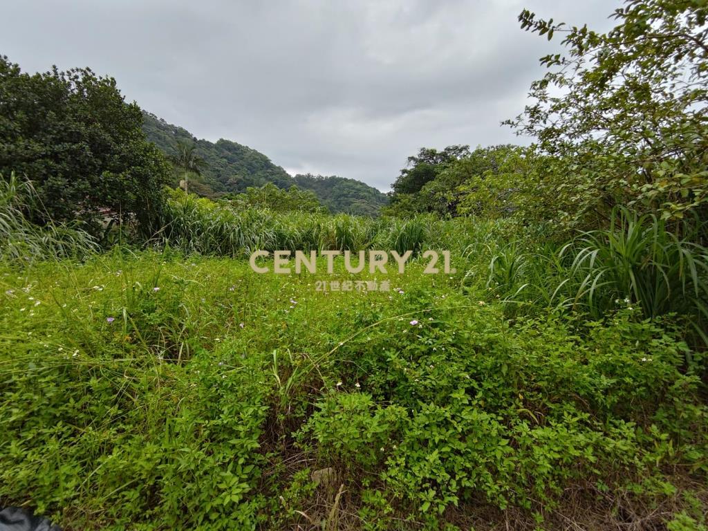 關西玉山國小旁丙建(C)