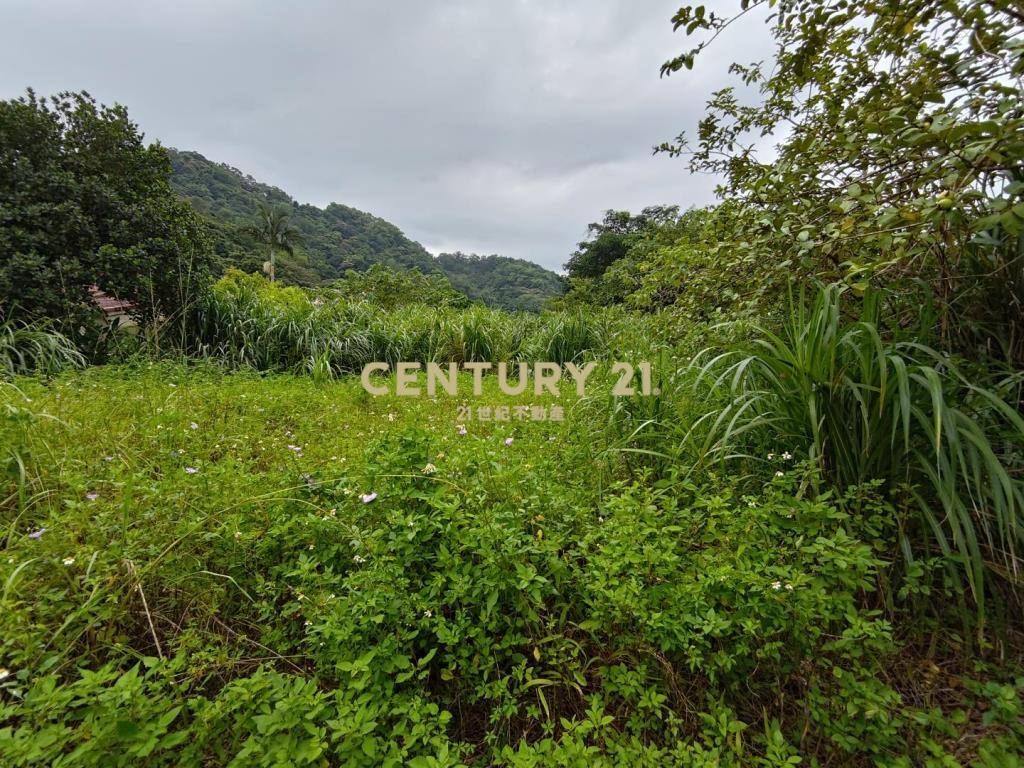 關西玉山國小旁小坪數丙建(B)
