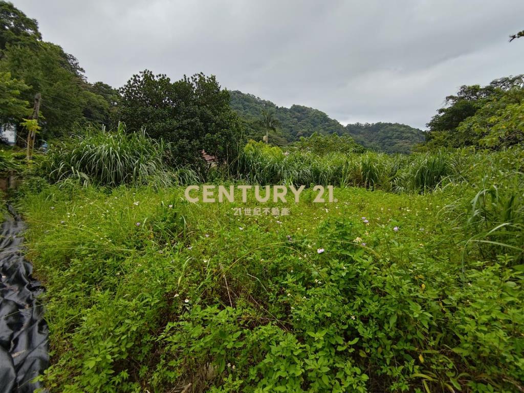 關西玉山國小旁小坪數丙建(B)
