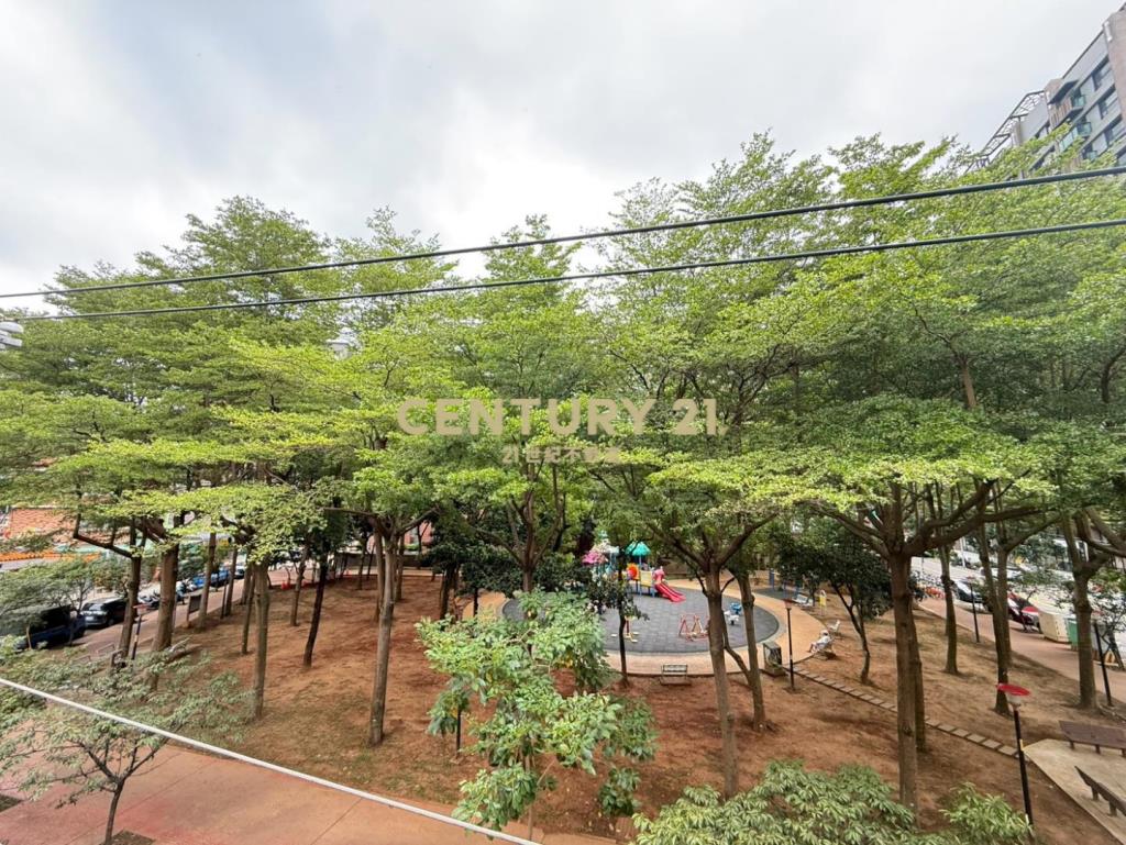 公園第一排大地坪透天(文化學區)