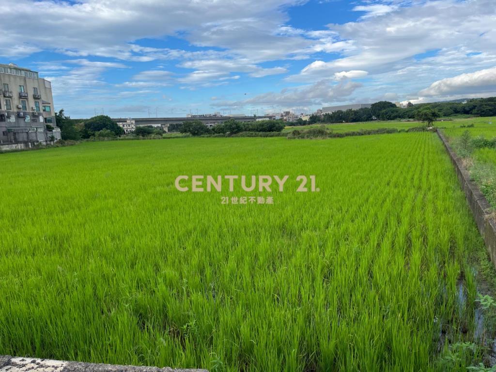 專任~蘆竹近未來捷運G13都內美田