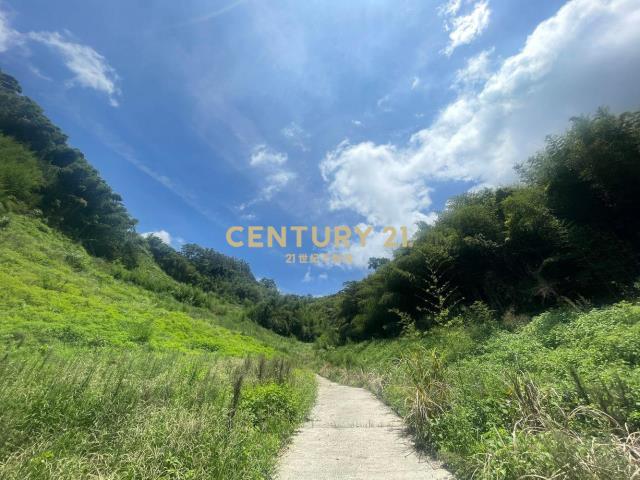 苗栗獅潭林+建+農地