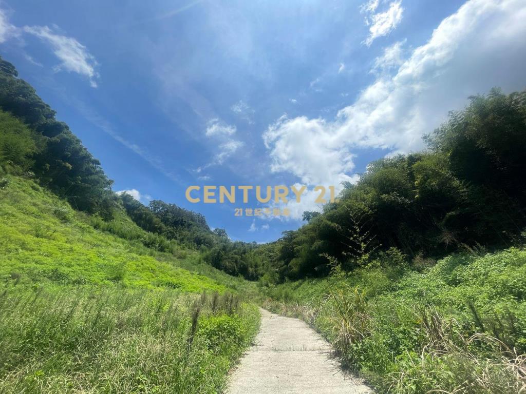 苗栗獅潭林+建+農地