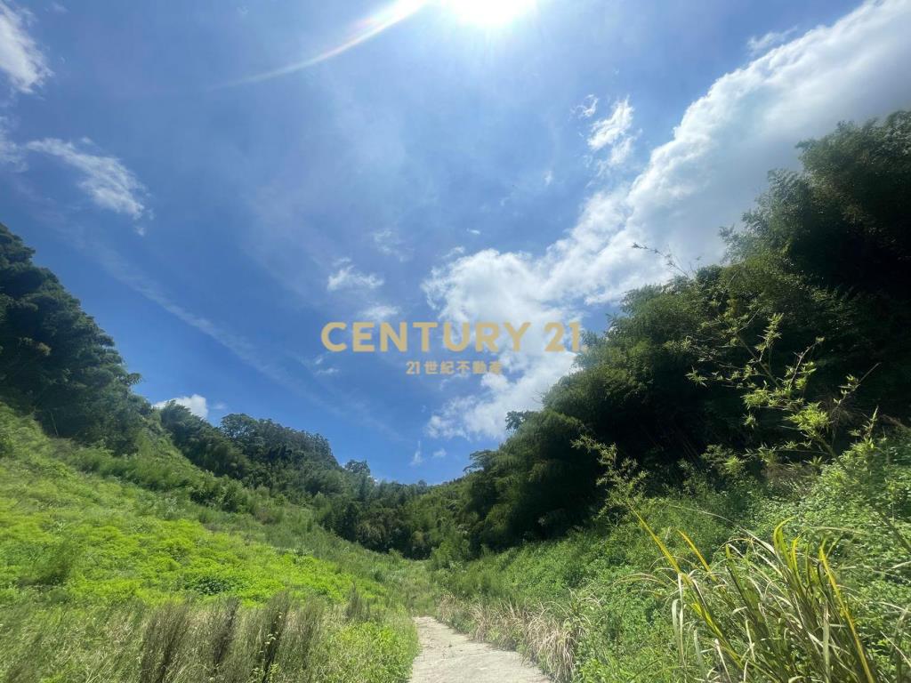 苗栗獅潭林+建+農地