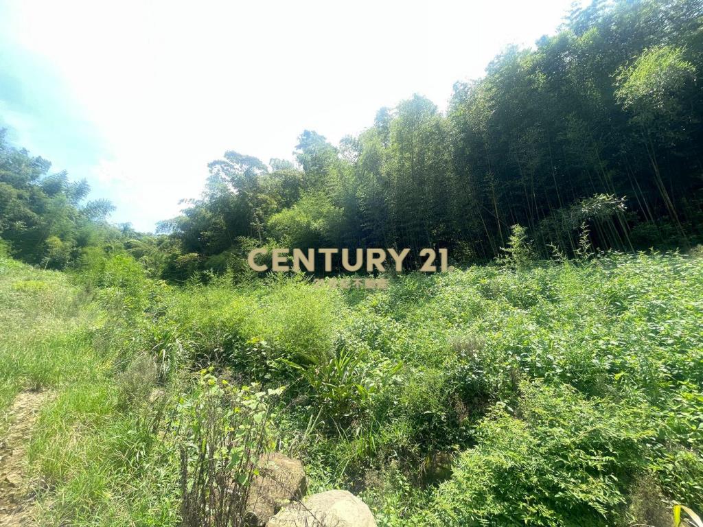 苗栗獅潭林+建+農地