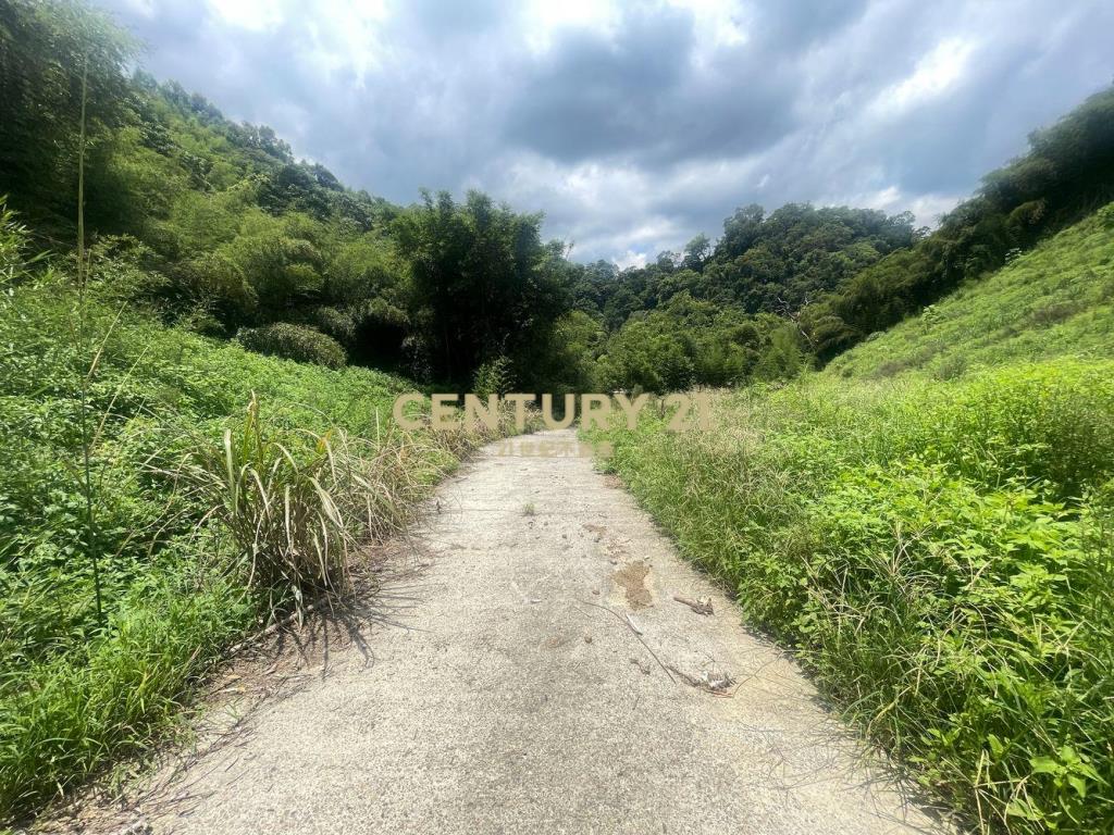 苗栗獅潭林+建+農地