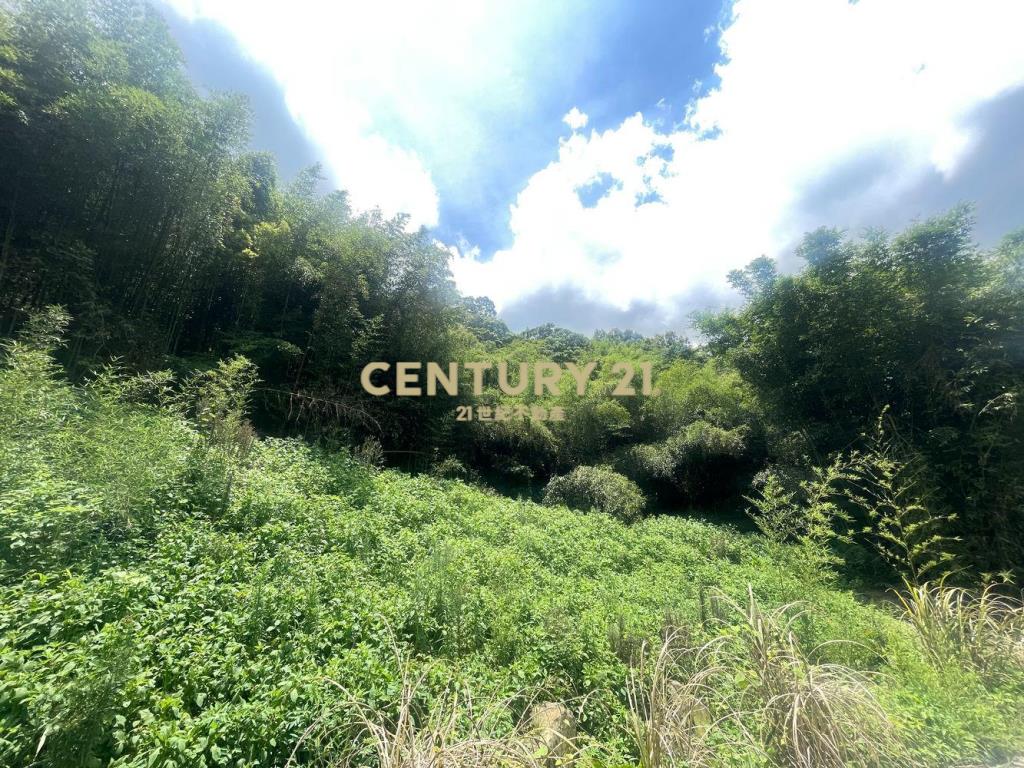 苗栗獅潭林+建+農地