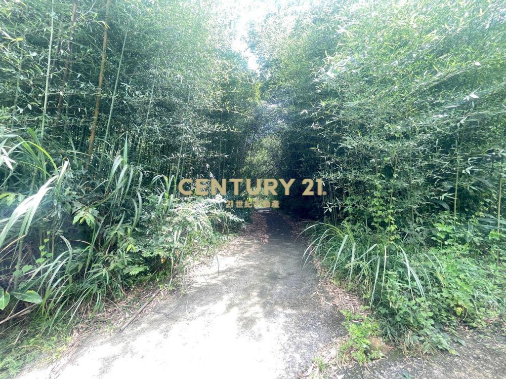 苗栗獅潭林+建+農地
