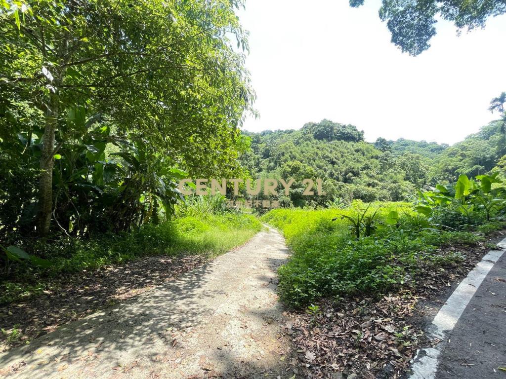 苗栗獅潭林+建+農地