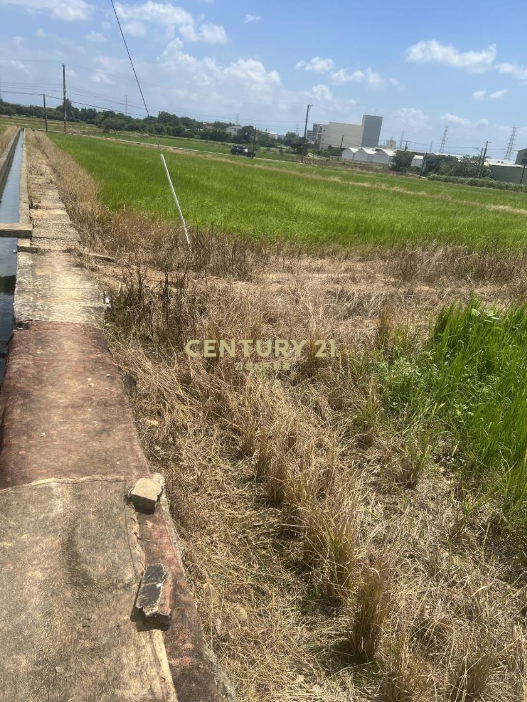 觀音新林路甲建