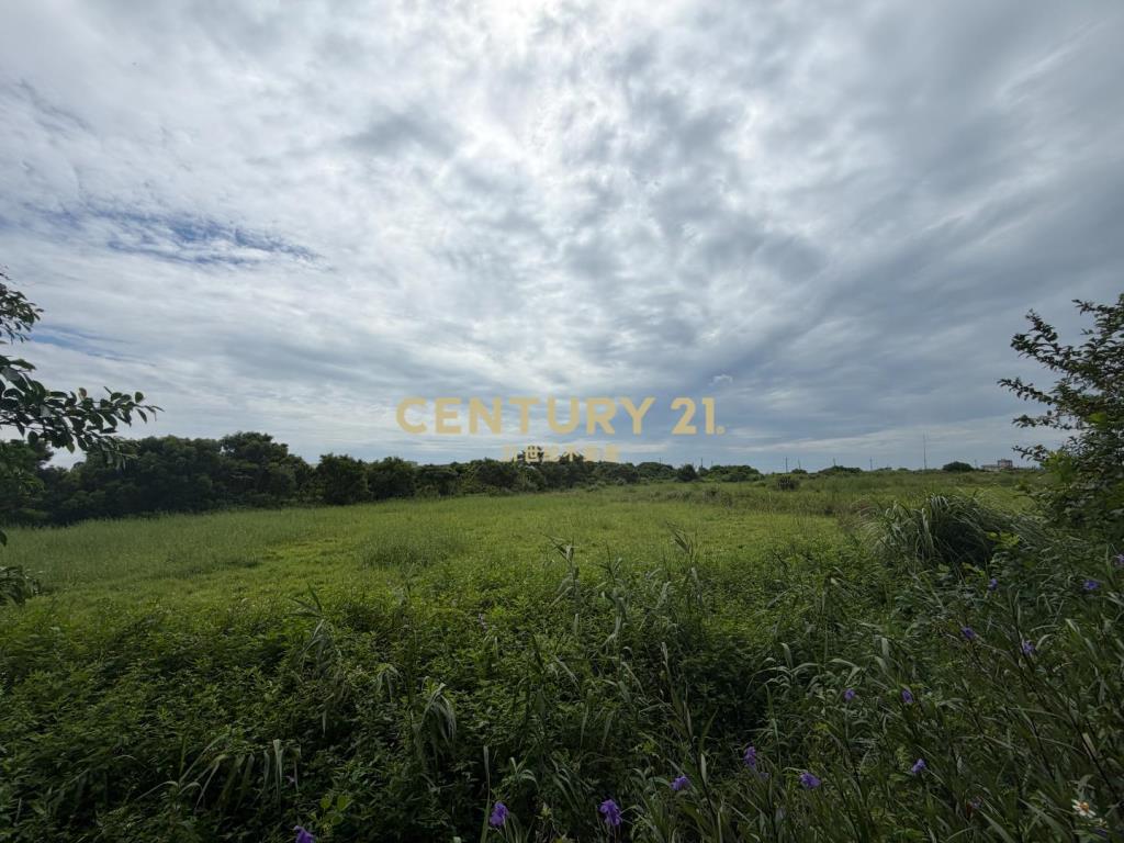 觀音近66三座屋段農地