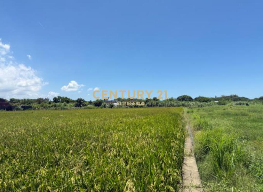 市府二期農地